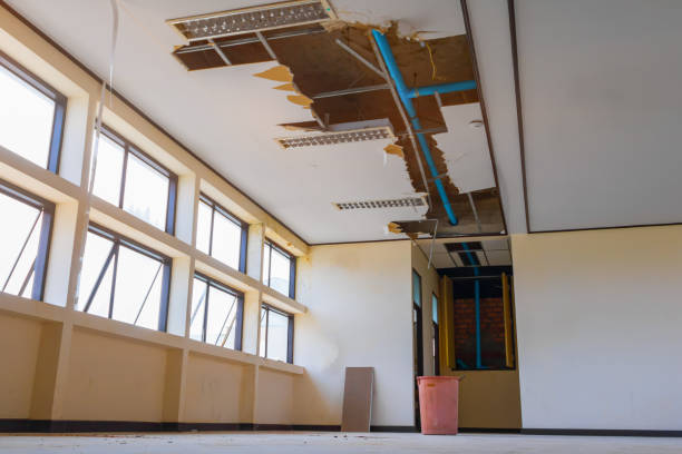 Best Mold removal after water damage  in Leawood, KS
