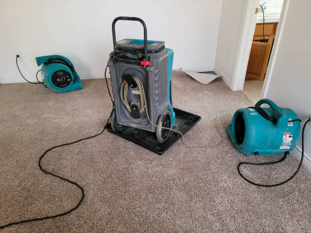 Best Water damage restoration near me  in Leawood, KS