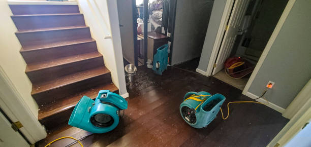 Best Water damage mitigation services  in Leawood, KS