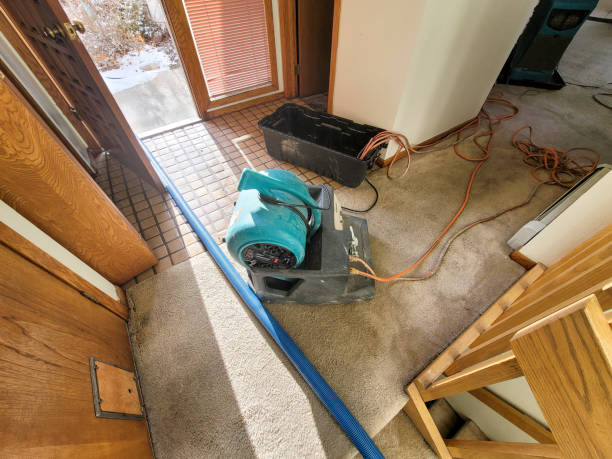 Best 24/7 water damage repair  in Leawood, KS