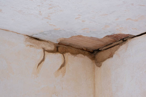 Best Local water damage restoration  in Leawood, KS