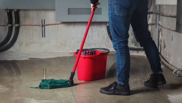 Best Professional water damage repair  in Leawood, KS