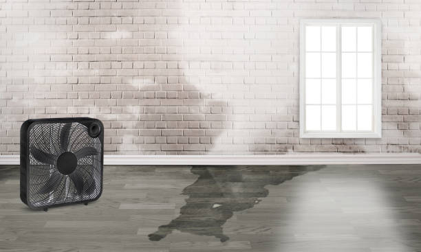 Best Water damage cleanup near me  in Leawood, KS