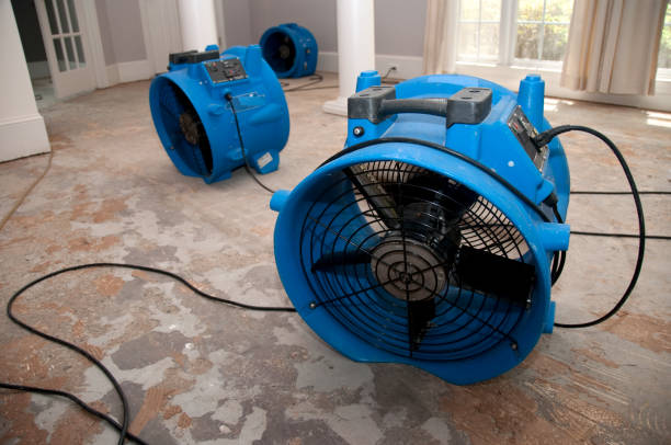 Best Flooded house restoration  in Leawood, KS