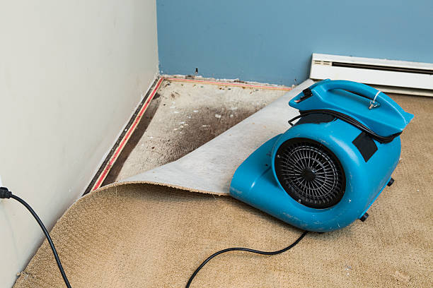 Best Commercial water damage restoration  in Leawood, KS